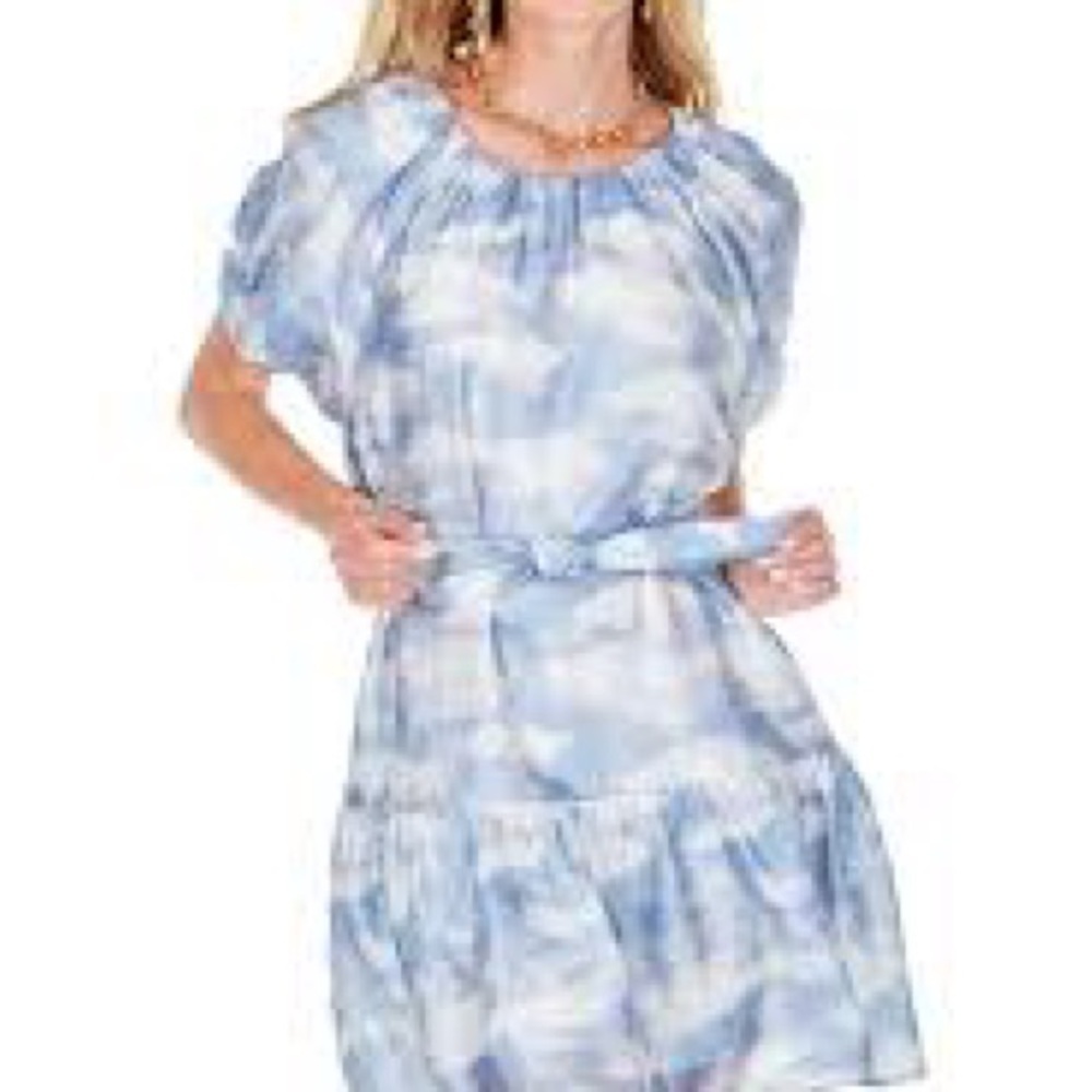 Joy Joy Blue and White Tie-Dye Dress